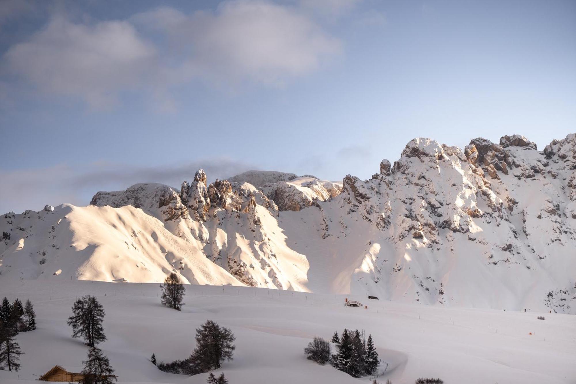 Hotel Alpina Dolomites Alpe Di Siusi Esterno foto