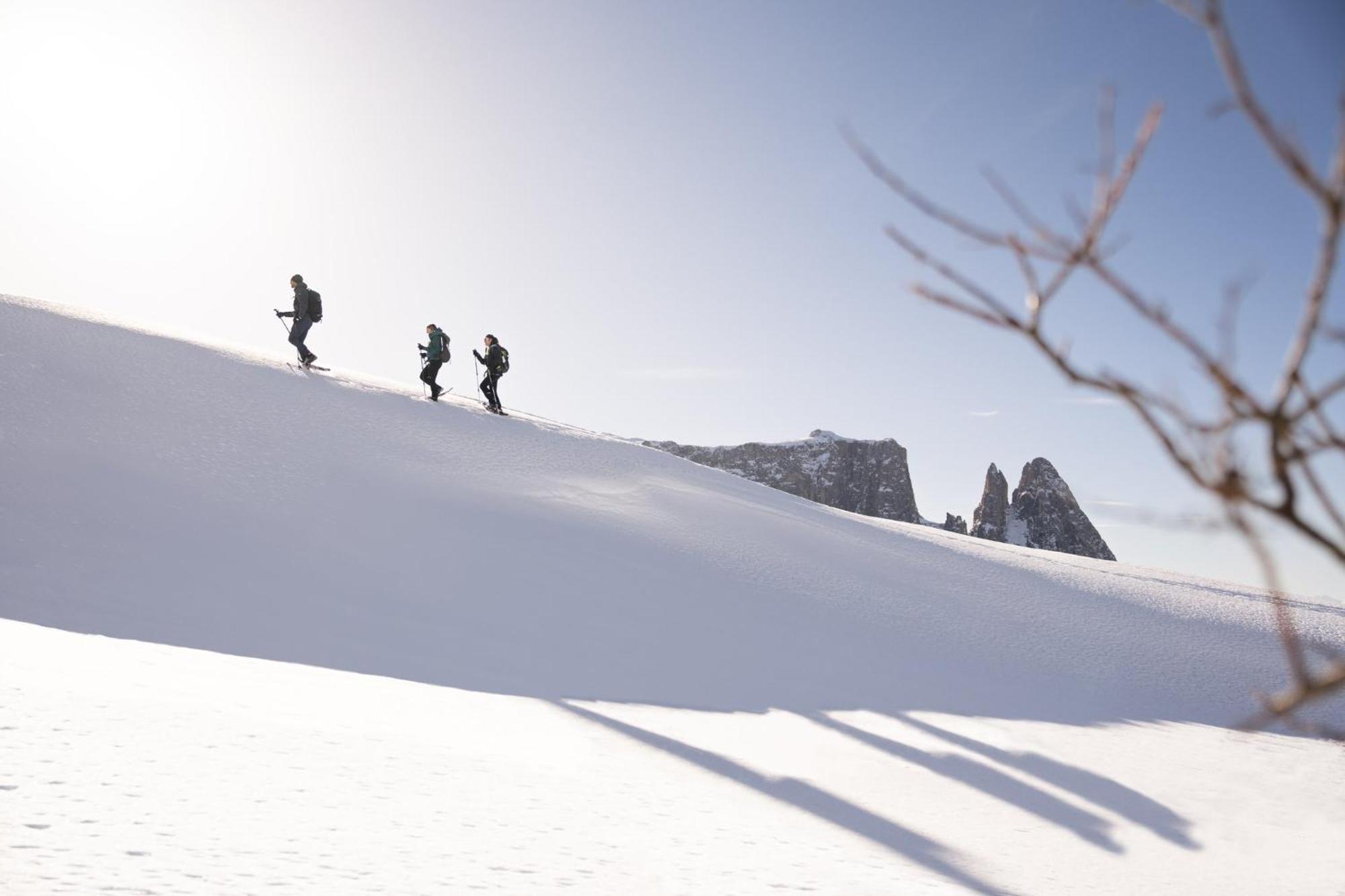 Hotel Alpina Dolomites Alpe Di Siusi Esterno foto