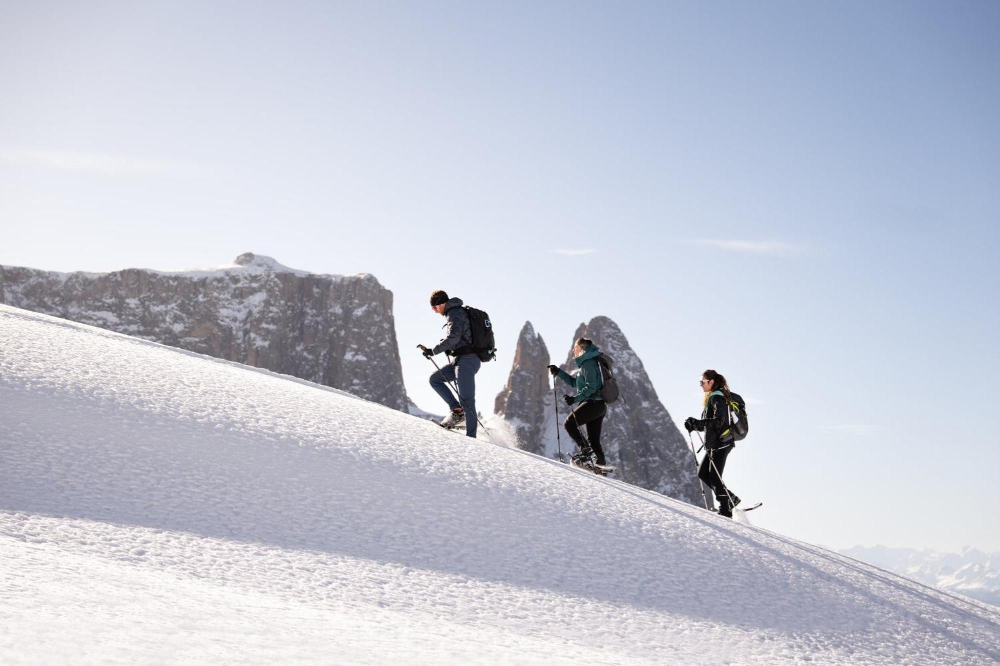 Hotel Alpina Dolomites Alpe Di Siusi Esterno foto