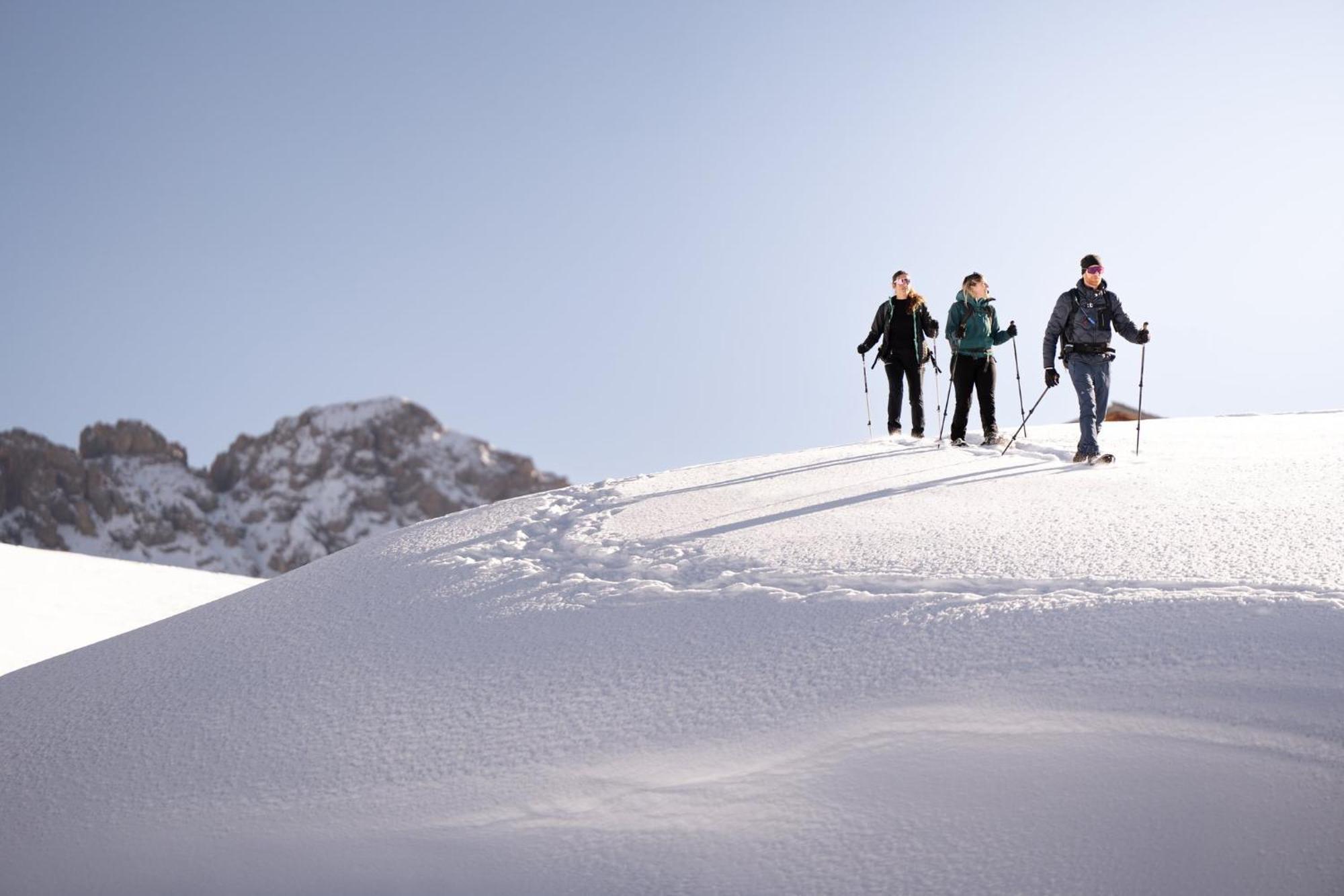 Hotel Alpina Dolomites Alpe Di Siusi Esterno foto