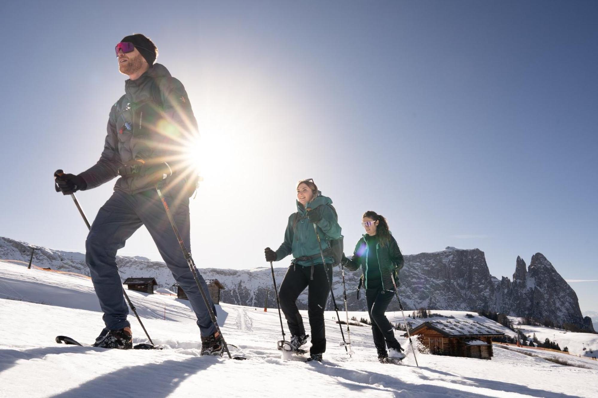 Hotel Alpina Dolomites Alpe Di Siusi Esterno foto
