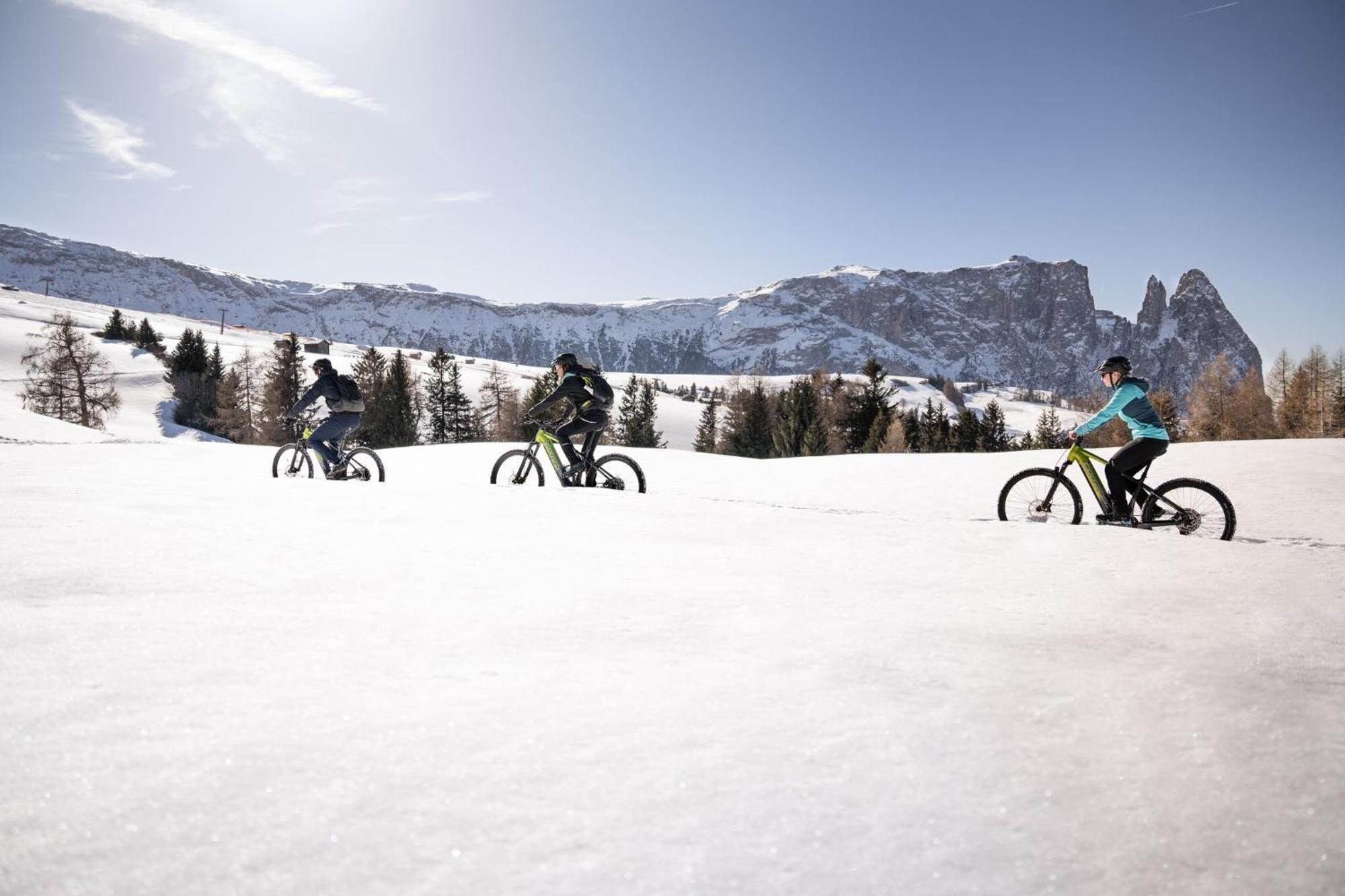 Hotel Alpina Dolomites Alpe Di Siusi Esterno foto