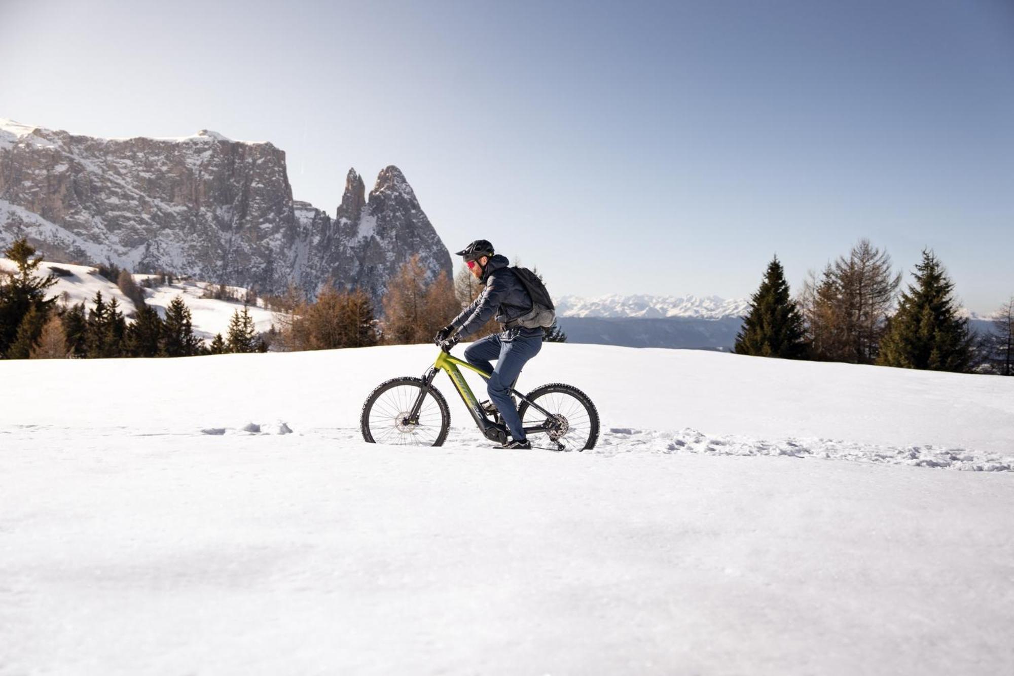 Hotel Alpina Dolomites Alpe Di Siusi Esterno foto