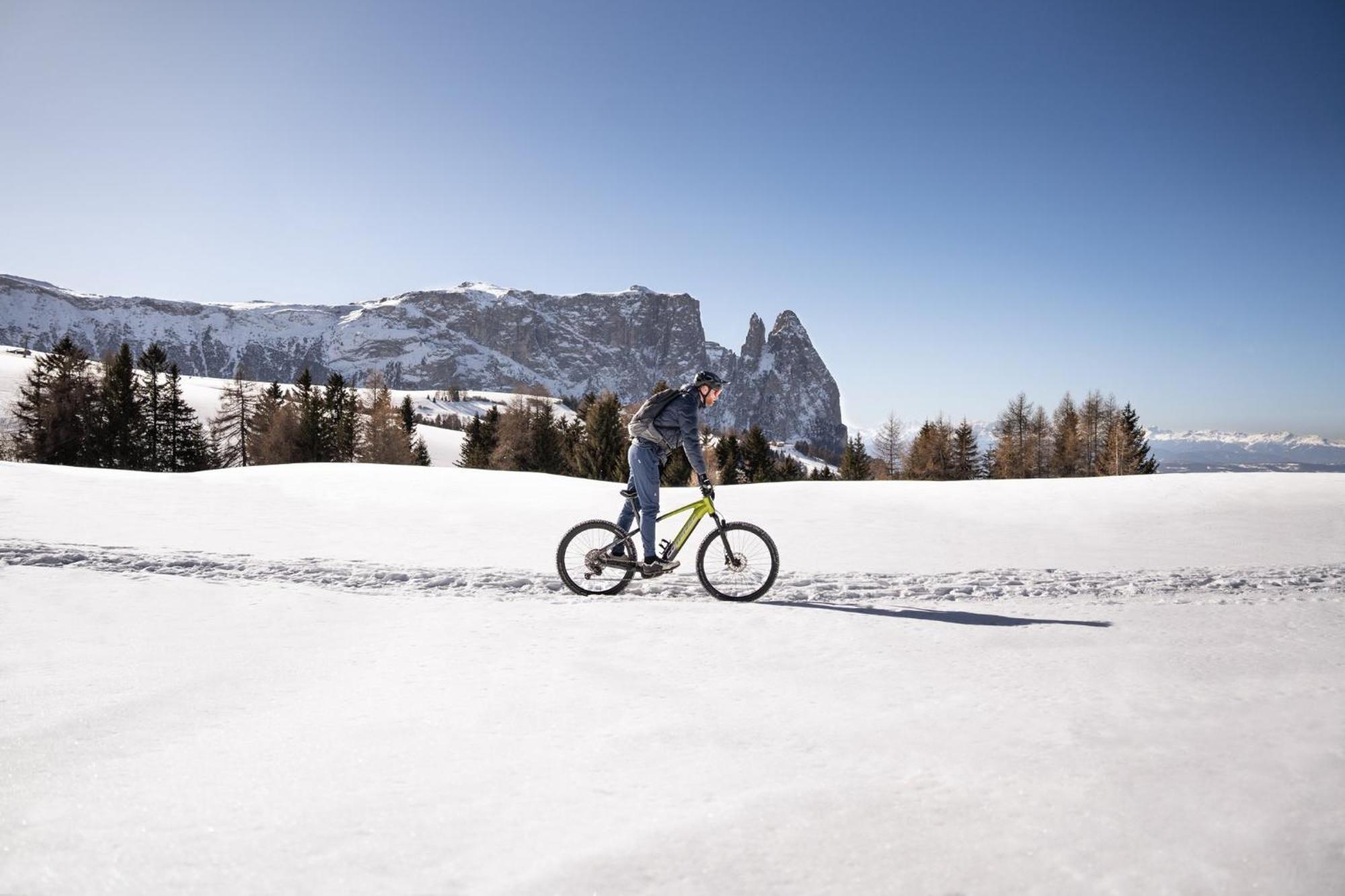 Hotel Alpina Dolomites Alpe Di Siusi Esterno foto